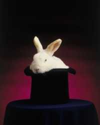 Magician's rabbit in a hat