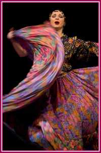 Gypsy dancer